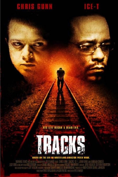 Постер Tracks